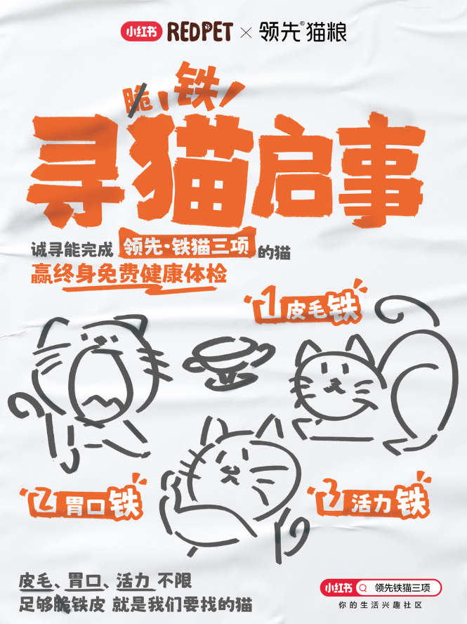 图片14.png