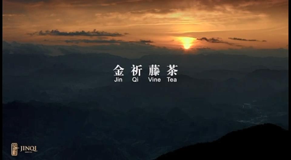 金祈藤茶&mdash;构建藤茶产业发展新格局