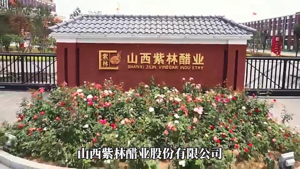 紫林醋业&mdash;&mdash;高标准引领，酿造健康、美好生活！