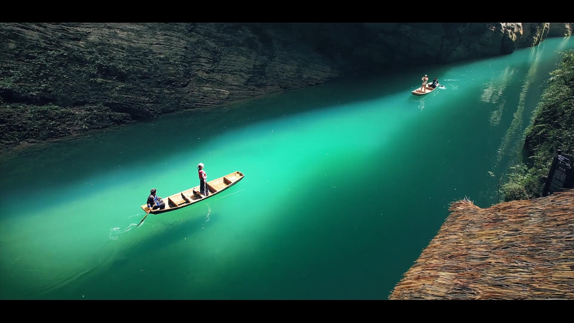 硒圣植物&mdash;&mdash;国内有机硒的倡导者和先行者