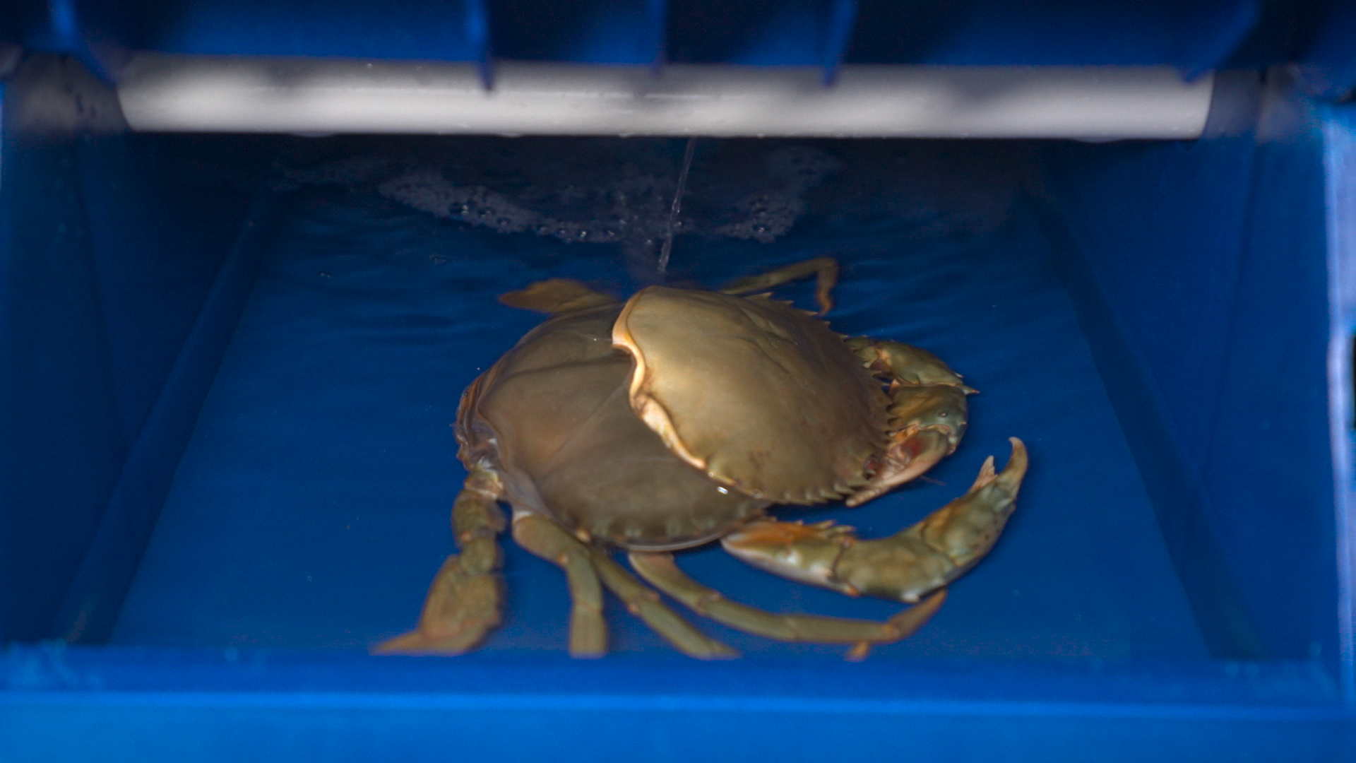 1681976218976224.png 图片18.png