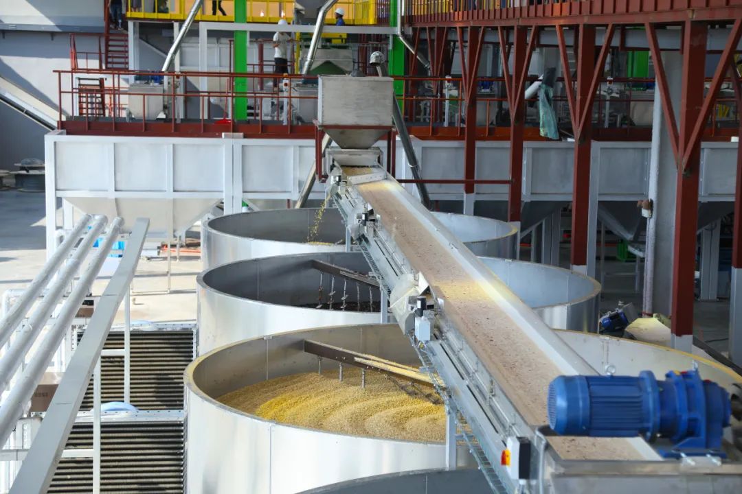 1710982219503792.jpg 640 (2).jpg