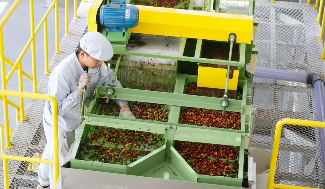 1710982243502405.jpg 640 (3).jpg