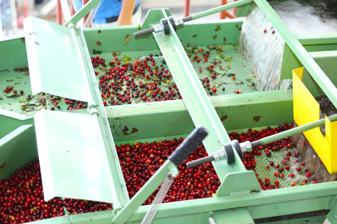 1710982269783926.jpg 640 (4).jpg