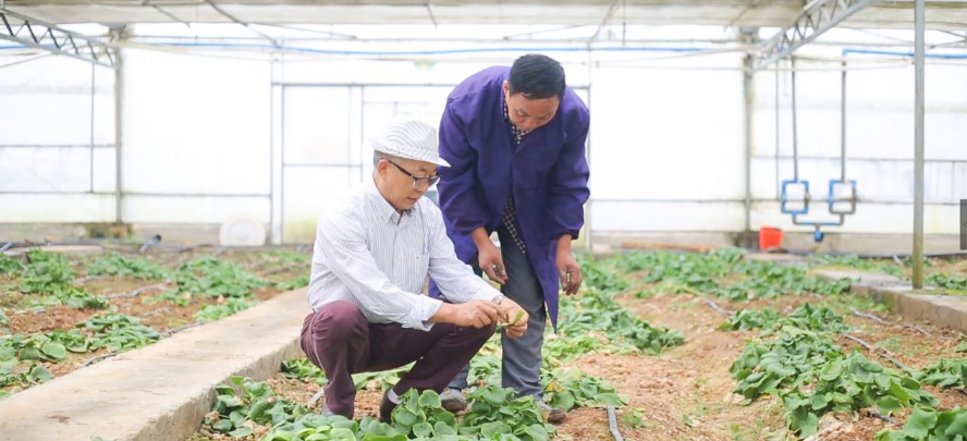 1717667792127429.png 图片1.png