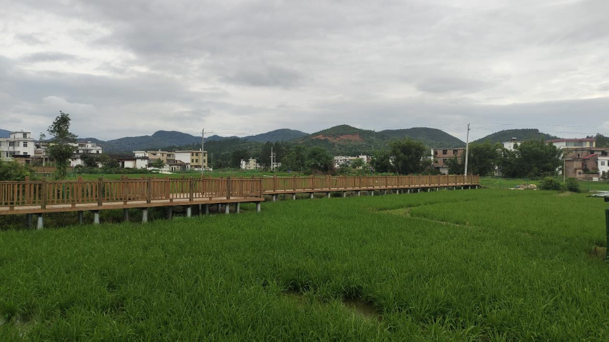 1718070515955600.png 图片1.png