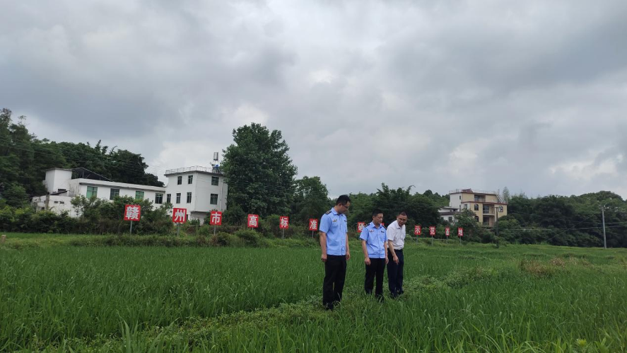 1718070564229468.png 图片3.png