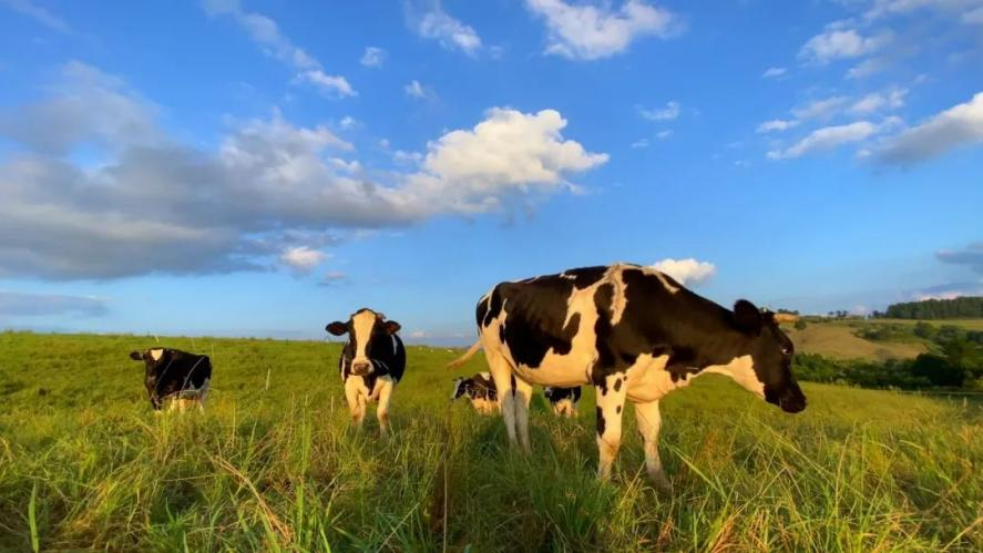 1718783090997343.png 图片8.png