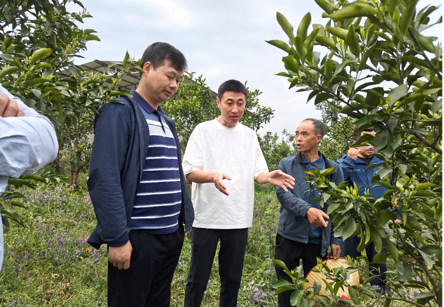 1720164861904695.png 图片2.png