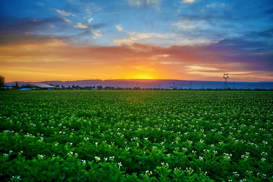 1721985781596532.png 图片2.png