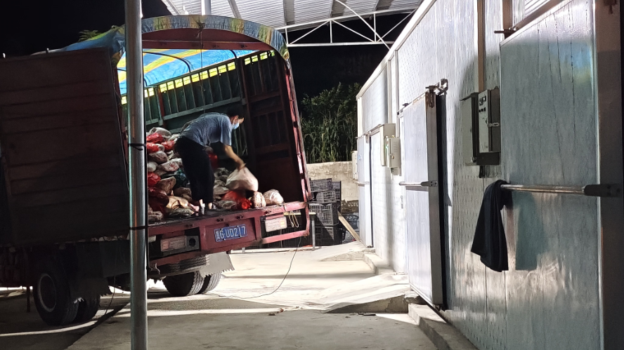 1723042376617929.png 图片1.png