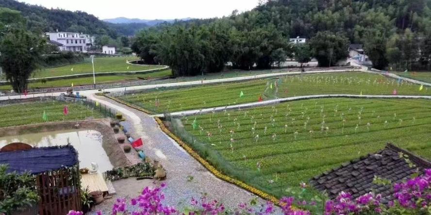 1723517336787934.png 图片4.png