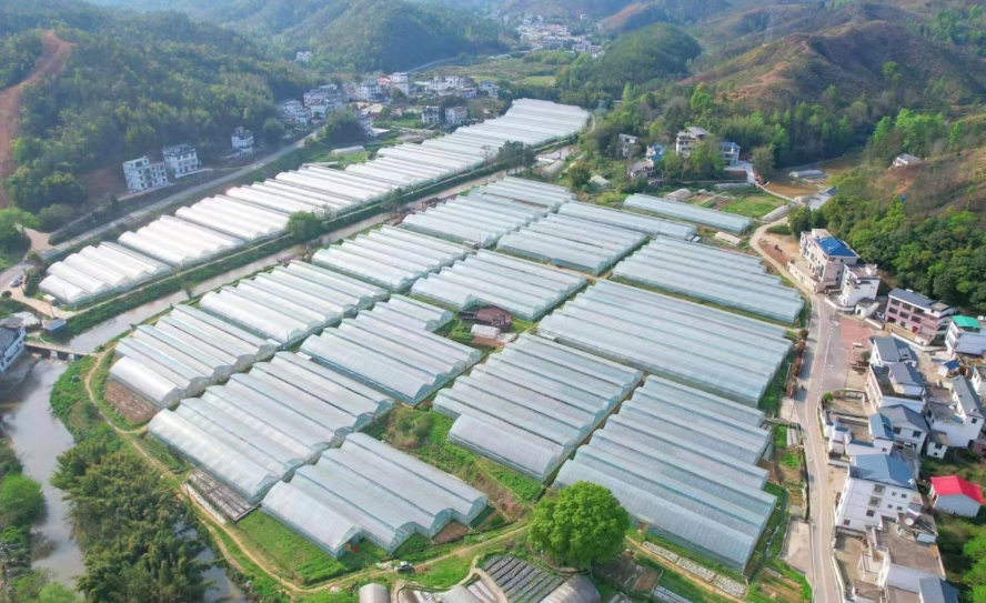 1726122706389707.png 图片3.png