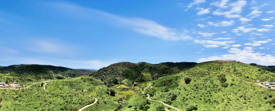 1731461931574666.png 图片1.png