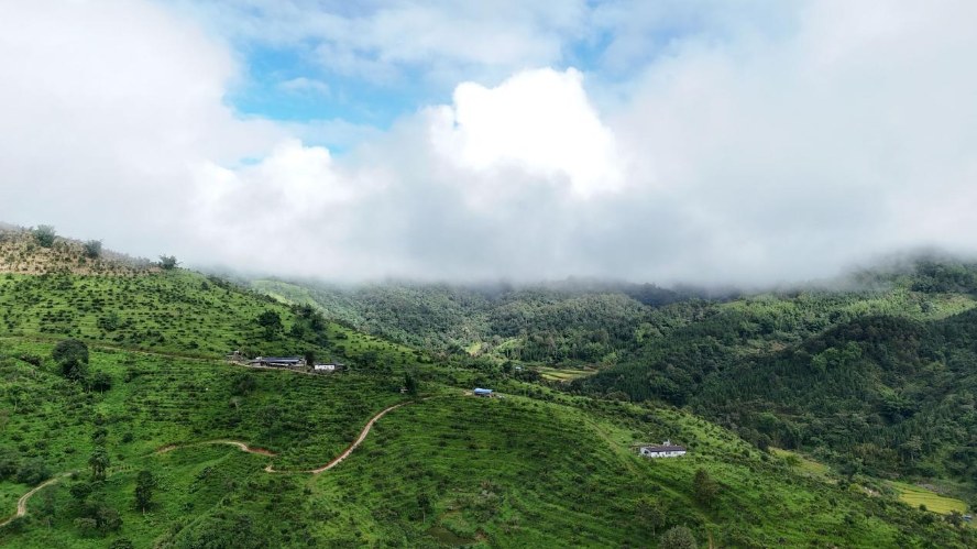 1731461965849323.png 图片3.png