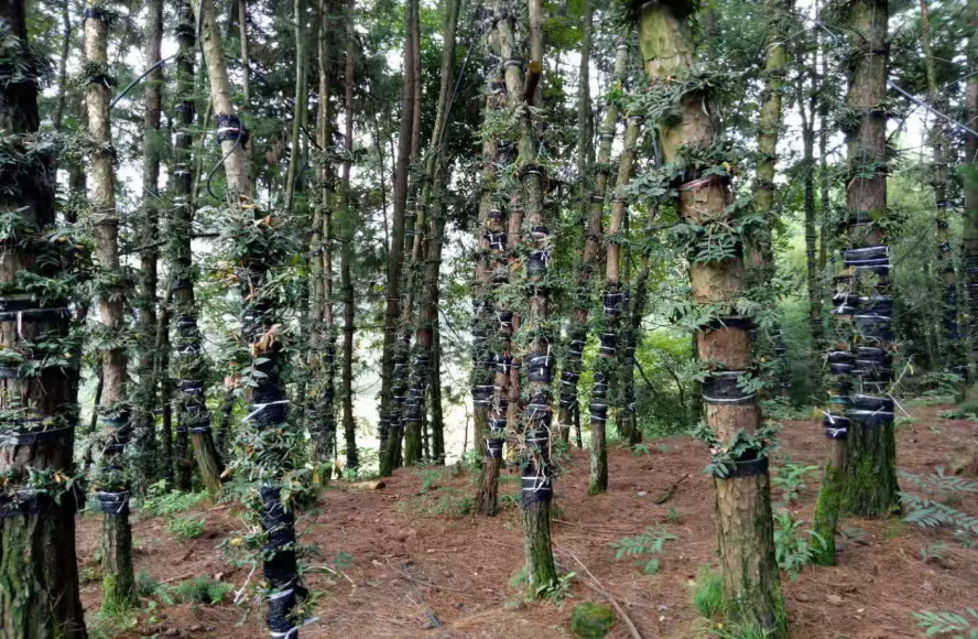 1731642277453928.png 图片2.png