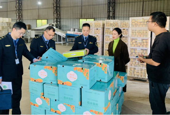 1735175396858724.png 图片12.png