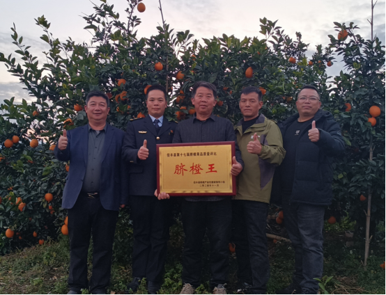 1735175408704598.png 图片13.png