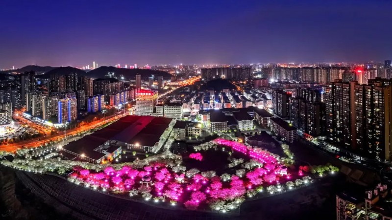 1743679708245360.png 图片6.png