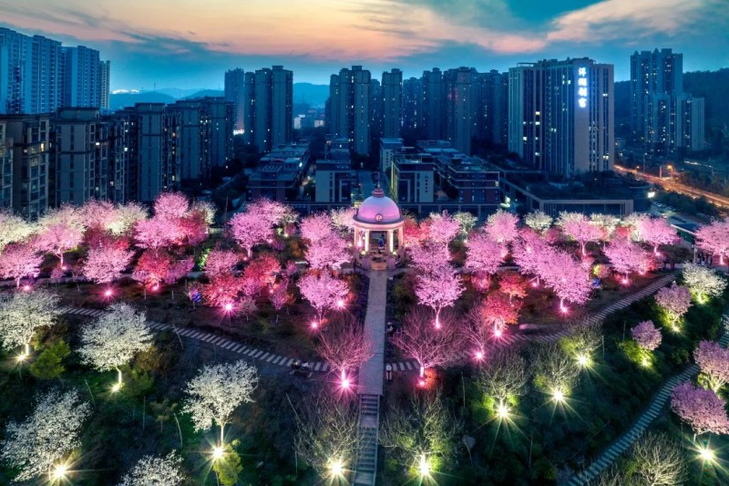 1743679726149851.png 图片7.png