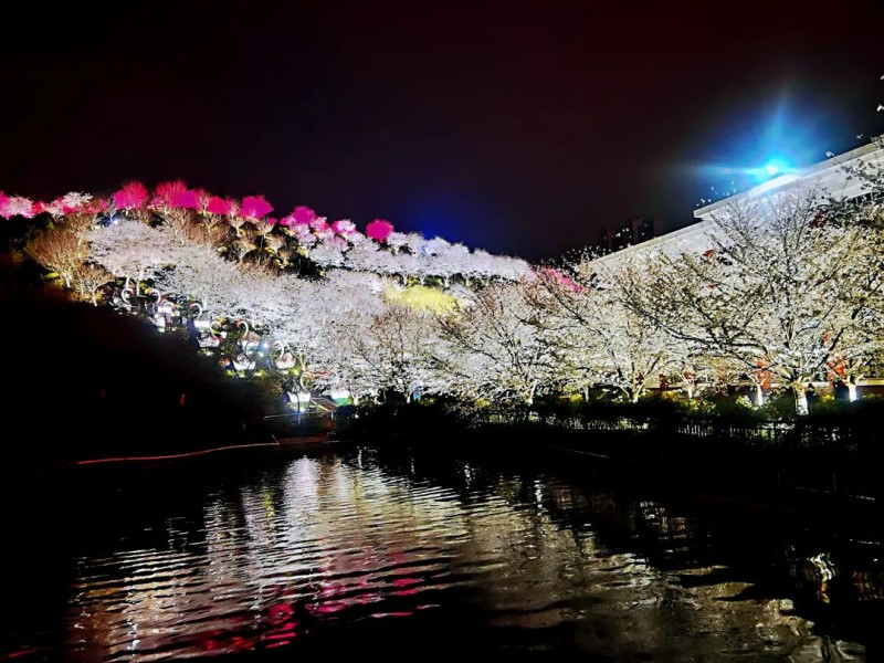 1743679742945339.png 图片8.png