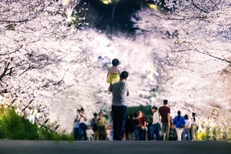 1743679757395860.png 图片9.png