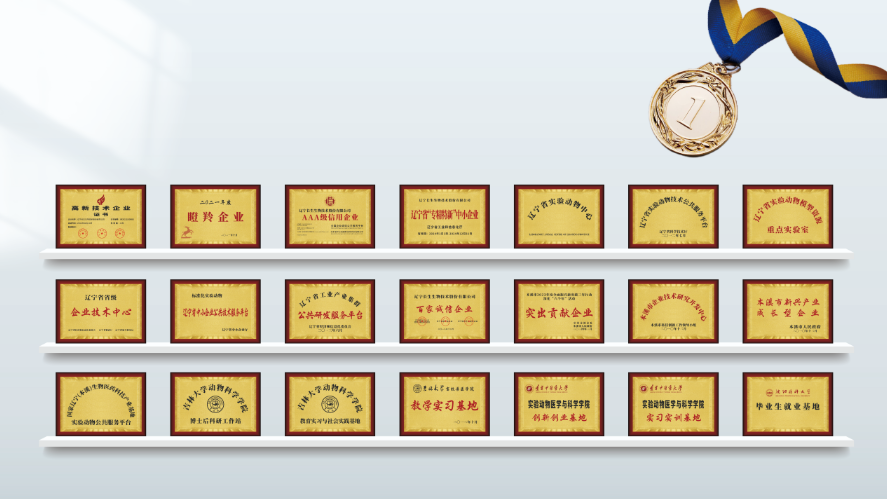 1755662063943285.png 图片2.png