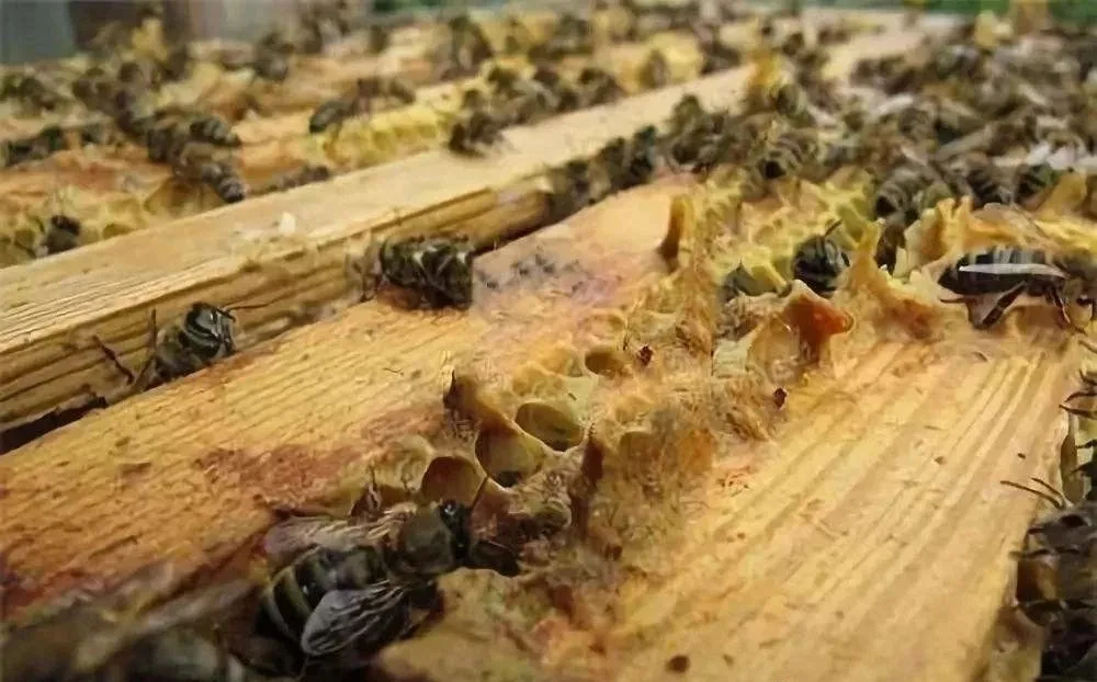 1763953050434877.png 图片1.png