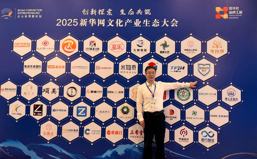 博鳌品牌墙诺必达LOGO(1)_proc.jpg